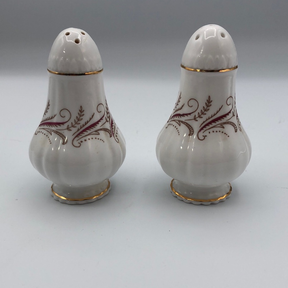 Paragon Harmony Salt and Pepper Shakers (Bone China)